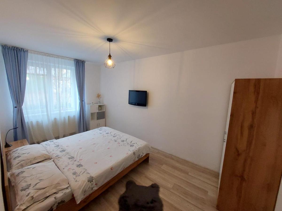 Youth Central Apartment Târgu-Mureş Eksteriør bilde